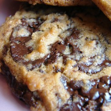 My FAVORITE Chocolate Chip Cookie