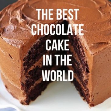 The Best Chocolate Cake in the World